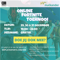 Afbeelding: Online Fortnite Poster Instagram post