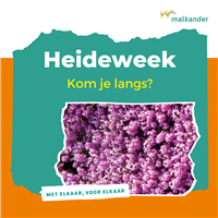 Afbeelding: Heideweek 2024